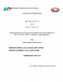 Posicionamiento de la empresa solidaria Valle de Poanas S.C. de A.P. DE R.L. de C.V. mediante un plan publicitario