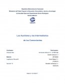 Los Auxiliares y los Intermediarios