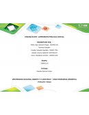 TERCERA ETAPA- COMPONENTE PRÁCTICO VIRTUAL