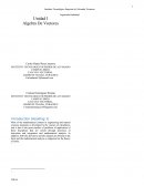 CALCULO VECTORIAL Definición de vectores y y su interpretación geométrica