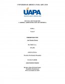 Practica Profesional (Pasantía)