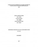 CASOS DE ÉXITO EN EMPRESAS UTILIZANDO SISTEMAS DE PLANIFICACIÓN DE RECURSOS EMPRESARIALES