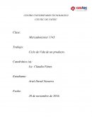 Ciclo de Vida de un producto.