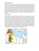 Empaquetadora de Café