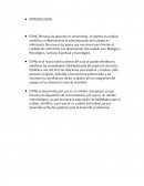 Enfermeria. PRESENTACION DEL SUJETO DE ATENCION