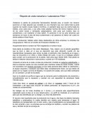 Reporte de visita industrial PISA