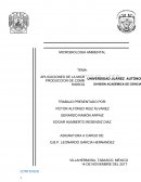 APLICACIONES DE LA MICROBIOLOGIA AMBIENTAL: PRODUCCION DE COMBUSTIBLES (ETANOL E HIDROGENO)