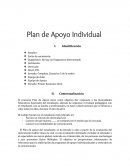 Ejemplo Plan de Apoyo Individual