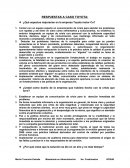 Respuestas Caso Toyota