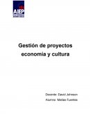 Gestión de proyectos economía y cultura