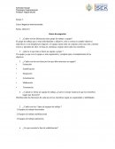 ¿Cuáles son las diferencias entre grupo de trabajo y equipo?