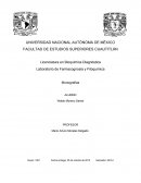 Laboratorio de Farmacognosia y Fitoquimica