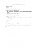 MANUAL DE MARCA PASO A PASO