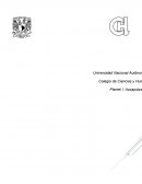 La reencarnación no te ayudará si en la próxima encarnación sigues sin saber quién eres
