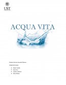 En este curso de simulación de negocios el tema a tratar se desarrolla en recrear de manera fidedigna