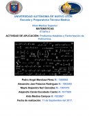ACTIVIDAD DE APLICACIÓN: Productos Notables y Factorización de Polinomios.