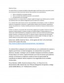 Ensayo Sistemas Fisicos.