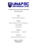 Análisis de la Impacto de los Sistemas de Información