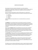 Auditoria del desempeño