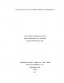 COMPORTAMIENTO DE LOS GRANULARES EN LOS PAVIMENTOS