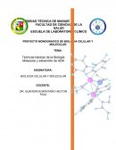 Técnicas básicas de la Biología Molecular y extracción de ADN