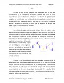 Seminario Agua.