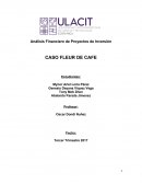 Análisis Financiero de Proyectos de Inversión CASO FLEUR DE CAFE
