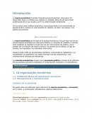 TEORIA ECONOMICA Introducción a la economía 1. La organización económica