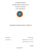 ANÁLISIS DE LOS ARTÍCULOS DE LA UNIDAD VII
