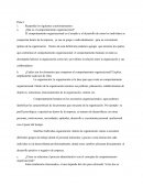 Ejercicio 3 comportamiento organizacional