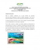 Cableado Estructurado. Cableado Horizontal