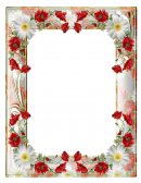 Proyecto de investigacion e innovacion tecnologica