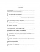 MINAS DE CARBON SUBTERRANEAS
