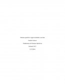 Sistemas operativos Apple orientados a servidor