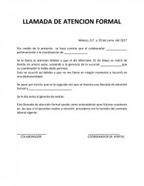 LLAMADA DE ATENCION FORMAL. Página 1