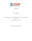 Estructura del Plan Estratégico y Selección de estrategias especias don julio primer vance del proyecto