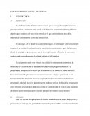 ENSAYO SOBRE ESTADISTICA EN GENERAL.