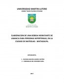 Bebida hidratante de flor de Jamaica