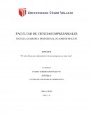 Ensayo proceso administrativo