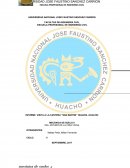 INFORME DE VISITA A CANTERA SAN MARTIN