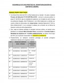 DESARROLLO DE CASO PRÁCTICO 01: DESNATURALIZACIÓN DE CONTRATO LABORAL