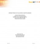 INFORME TÉCNICO DE EVALUACIÓN DE AGENTES QUÍMICOS