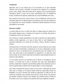 Aguacates Juan. Resumen y Análisis