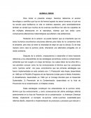 QUÍMICA VERDE ensayo