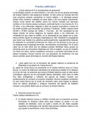 Nuevas técnicas de reclutamiento del Estado Islámico