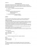 Capítulo 10 PATRIMONIO NETO