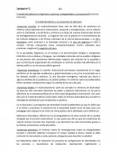 El multiculturalismo en Argentina: ausencias, ambigüedades y acusaciones (Domenech Educardo)