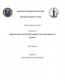 ANALISIS DE UNA PUESTA EN ESCENA