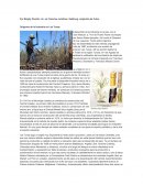 Orígenes de la Industria en Las Tunas.