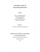Actividad de Campo #2° Desarrollo Organizacional